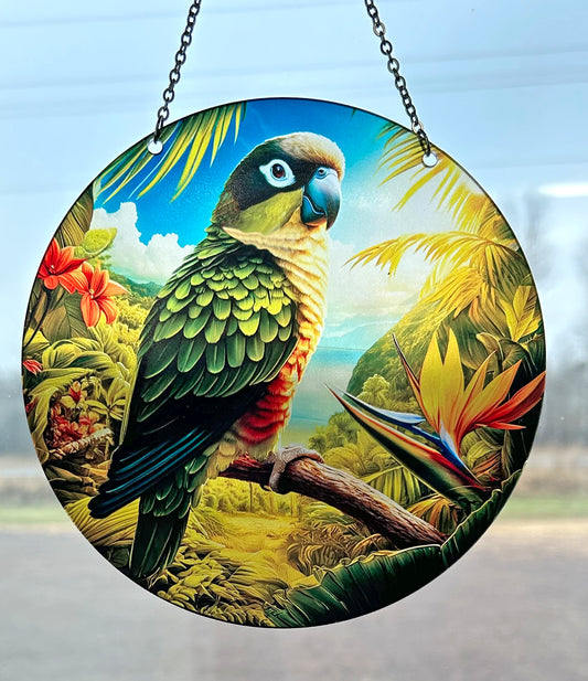 African Patagonian Conure Parrot Acrylic Suncatcher with Chain #SC538 by d'ears tropical bird gift colorful bird