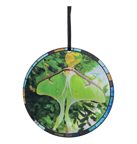 Luna Moth, Acrylic Window Ornament #SC220
