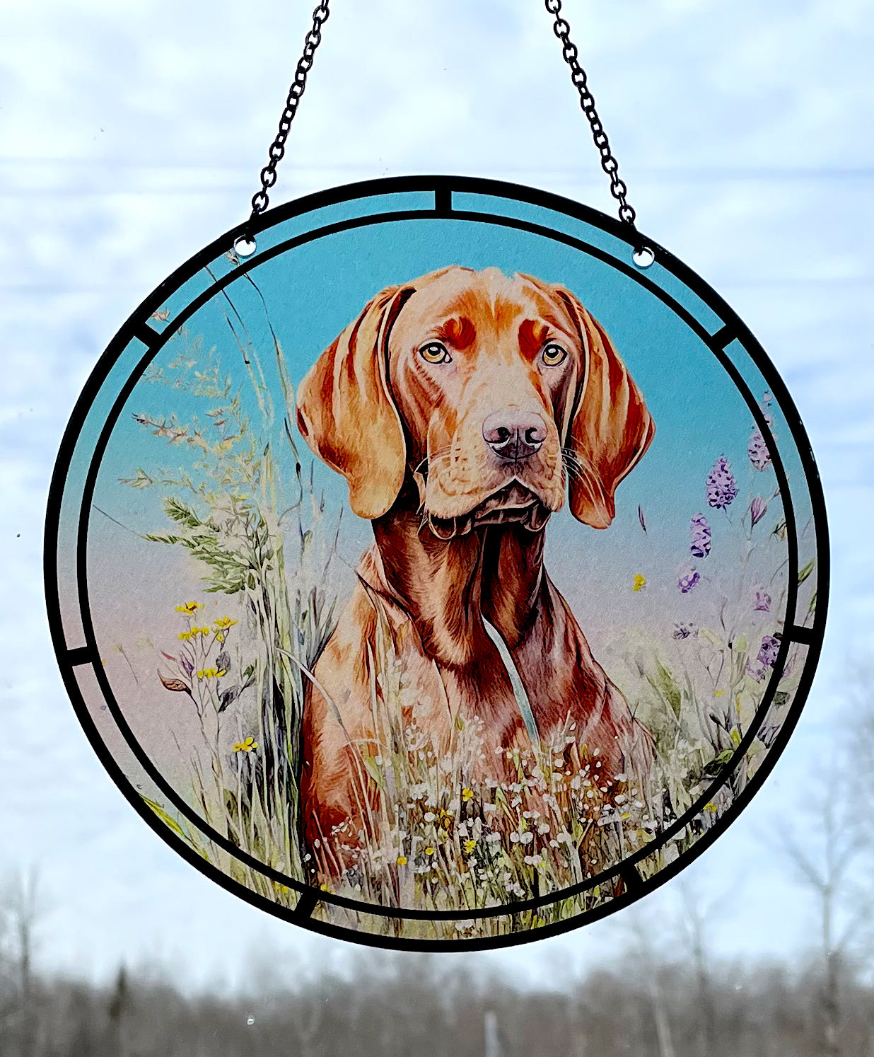 Hungarian Vizsla Acrylic Sun Catcher with Chain #SC303 by d'ears