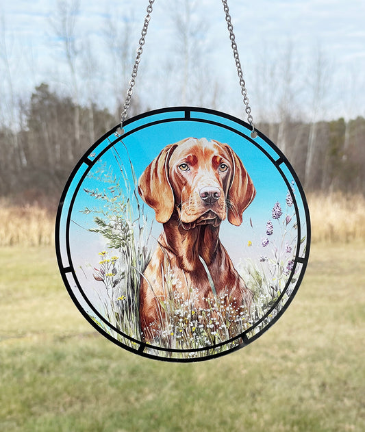 Hungarian Vizsla Acrylic Sun Catcher with Chain #SC303 by d'ears