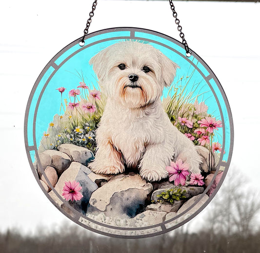 Maltese Acrylic Suncatcher with Chain #SC304 by d'ears