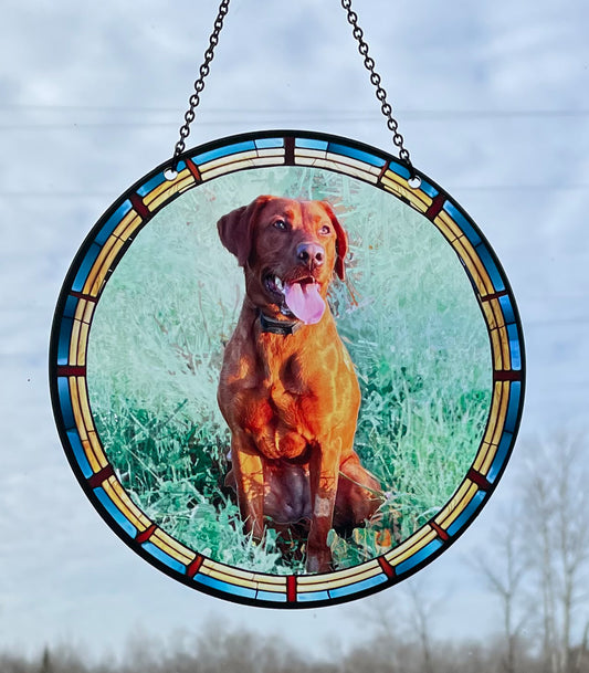 Red Labrador Acrylic Suncatcher with Chain #SC315 by d'ears