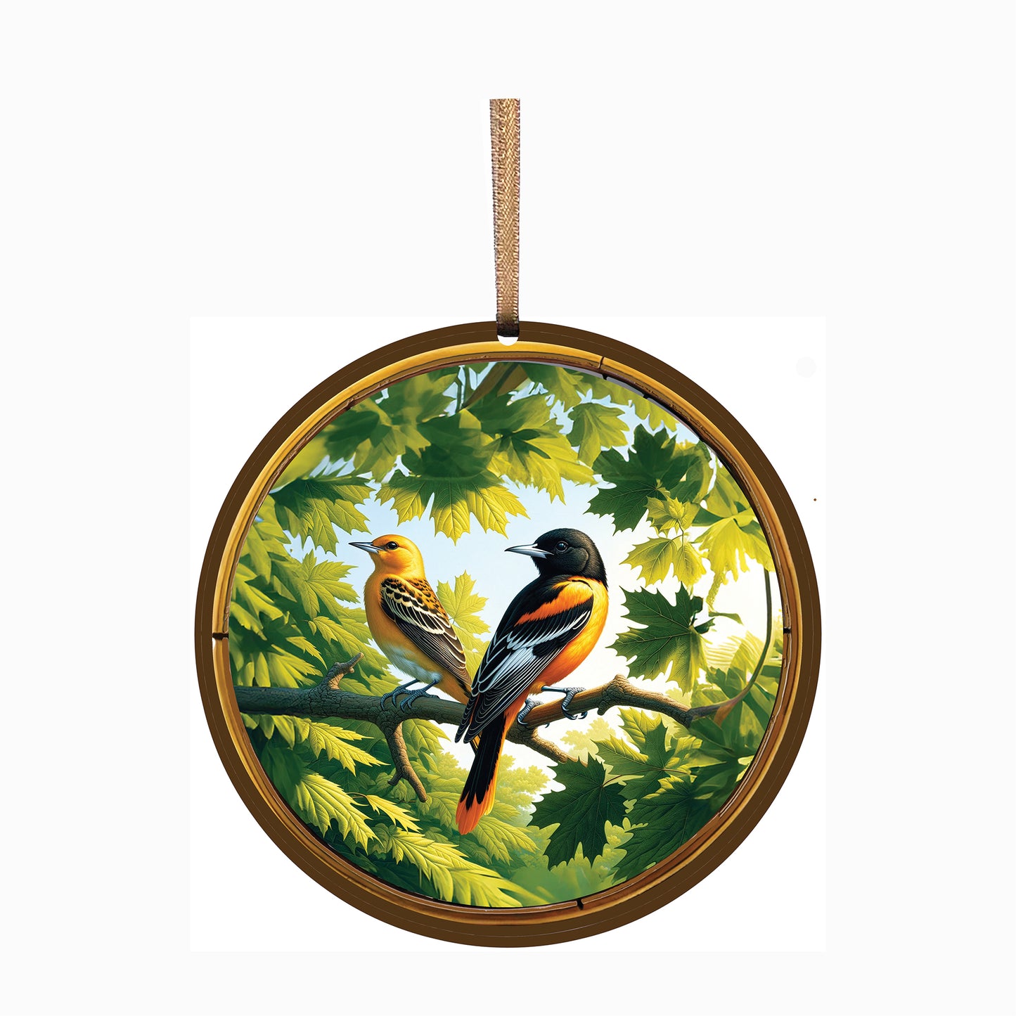 Oriole, Acrylic Window Ornament #SC382