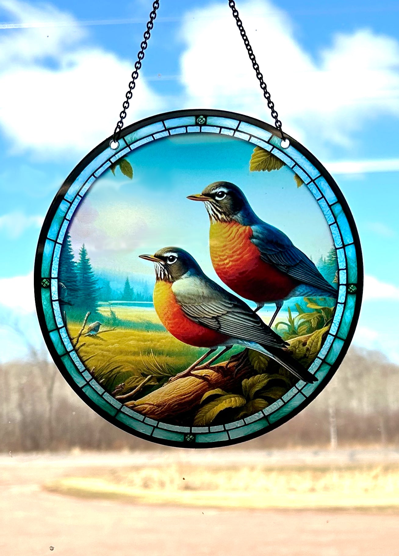 Robin Acrylic Suncatcher #SC407 by d'ears