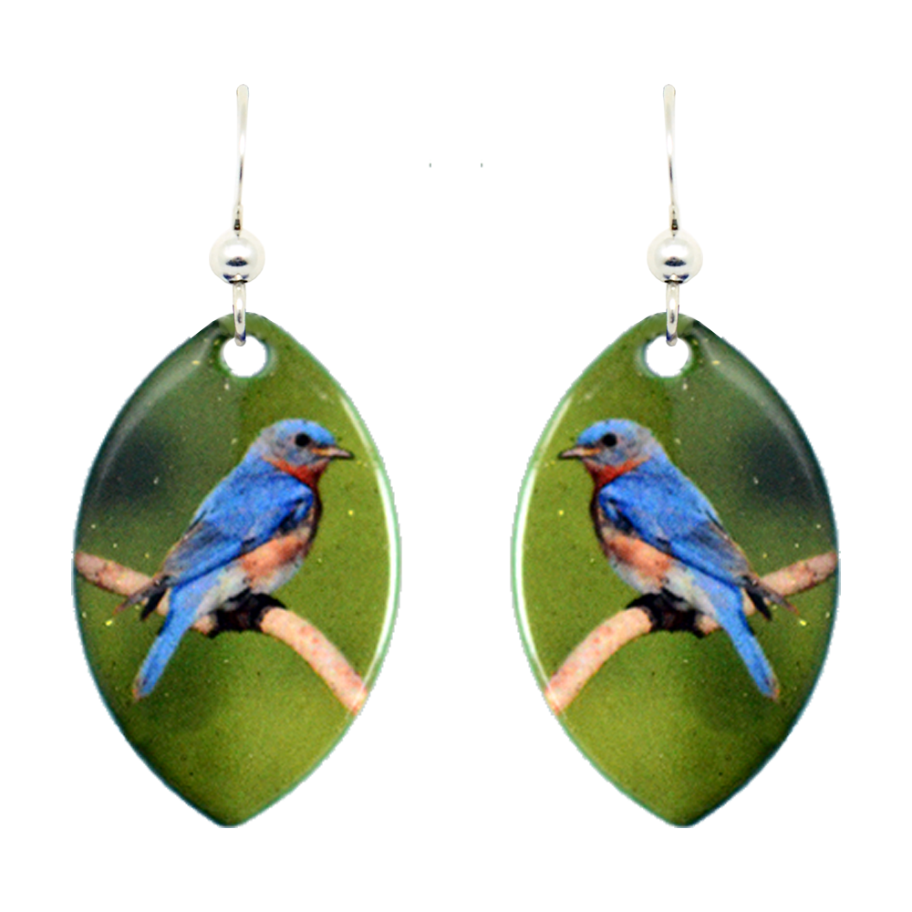 Eastern Bluebird