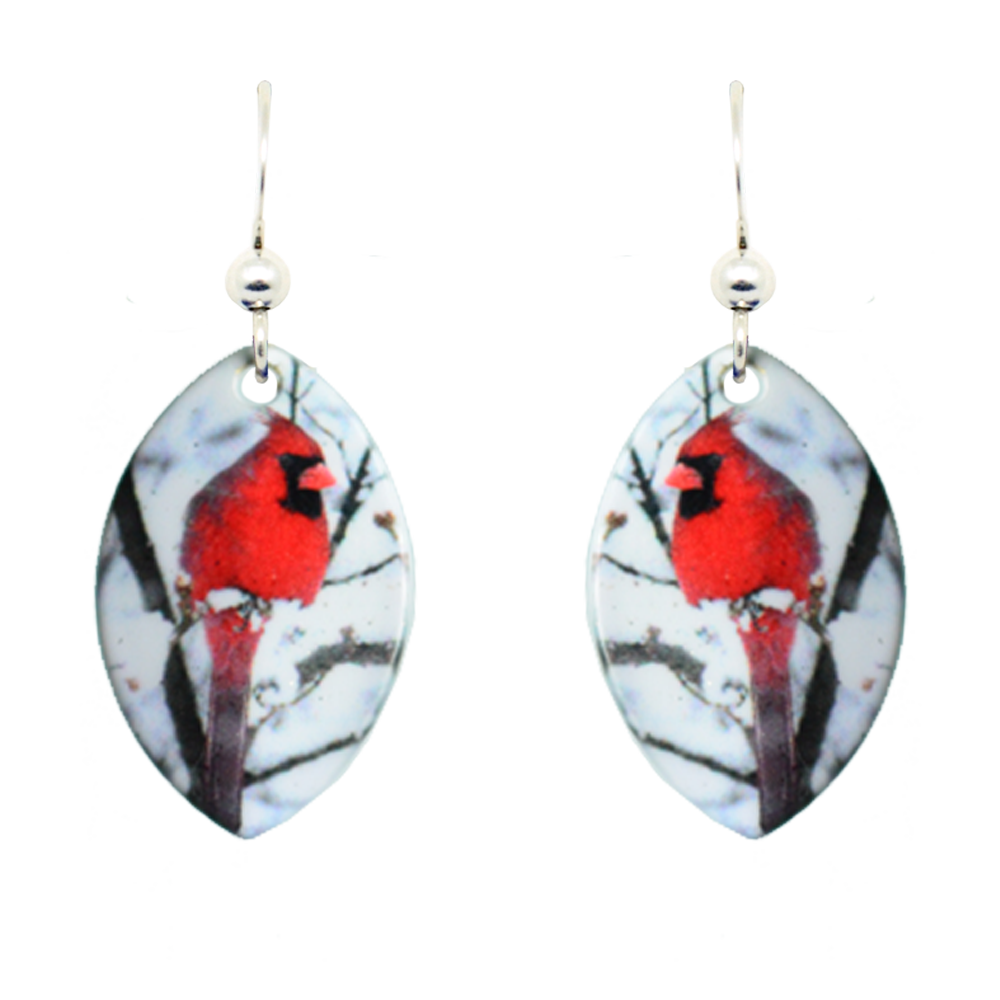 Northern Cardinal
