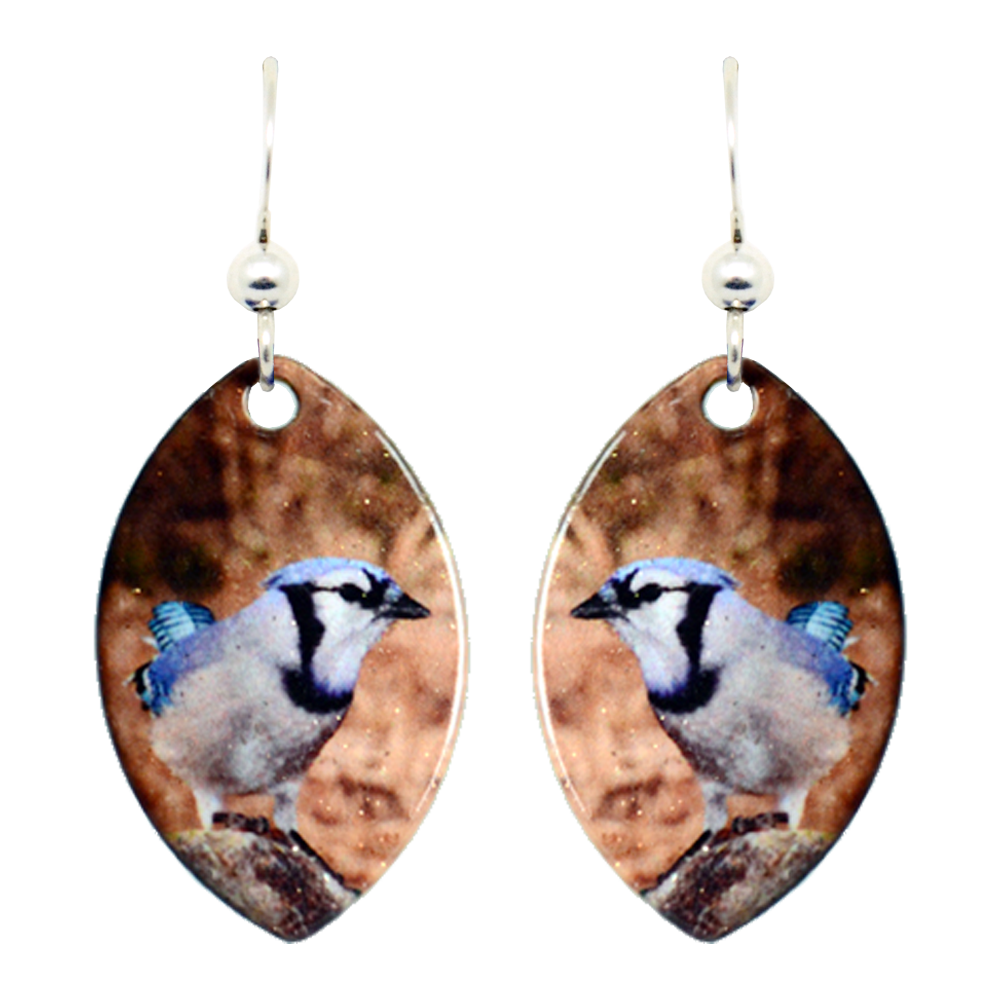 Blue Jay Earrings, Sterling Silver Earwires, Item# 1420