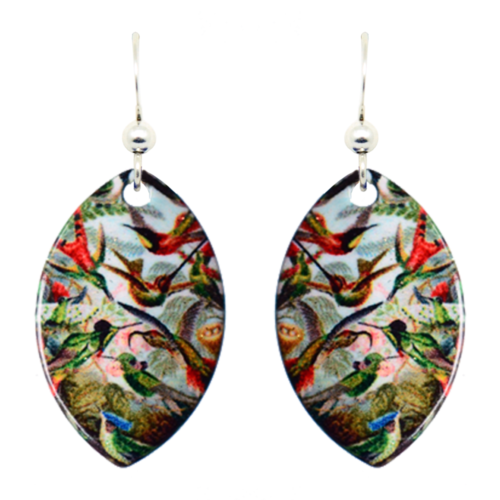Haeckel's Hummingbirds