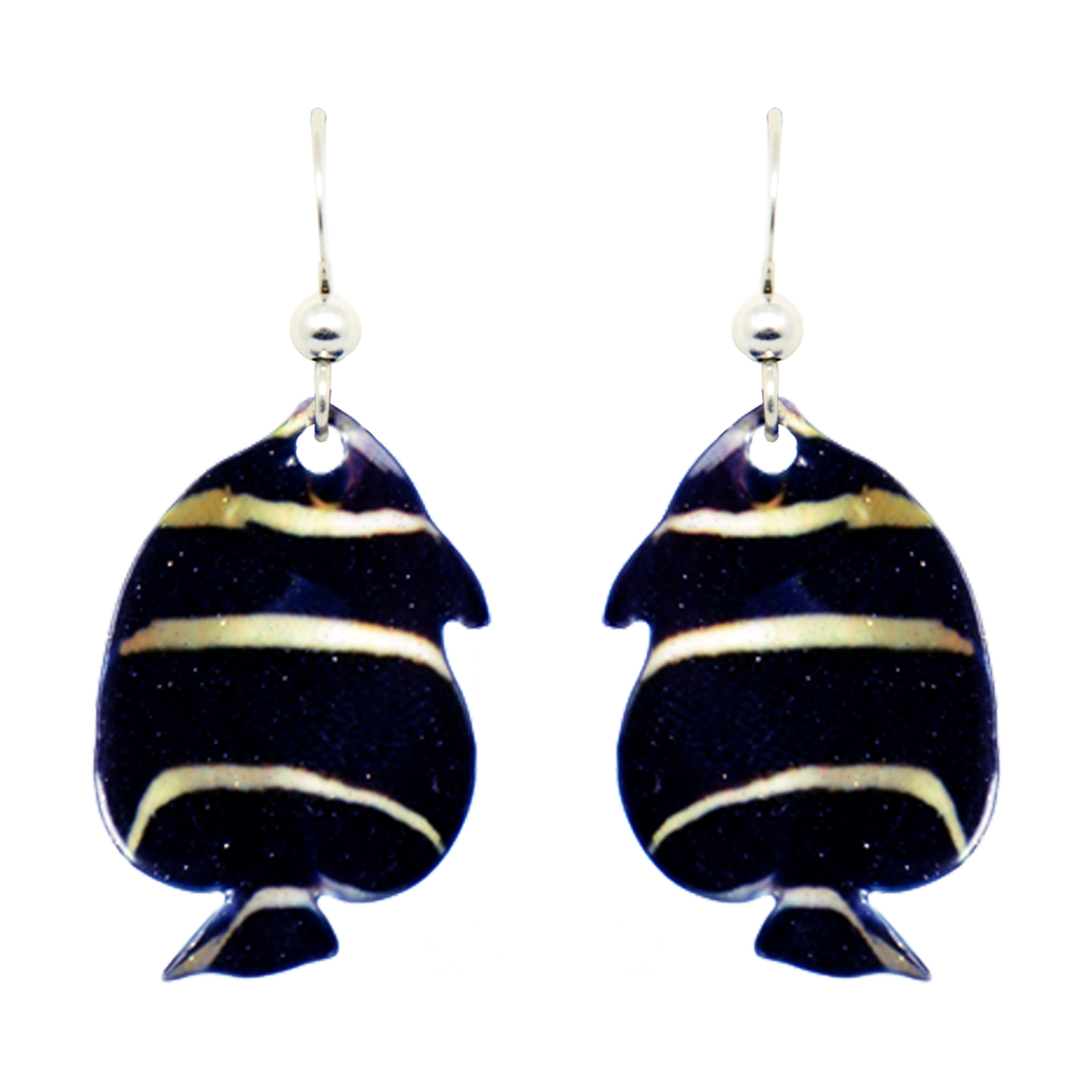 French Angelfish