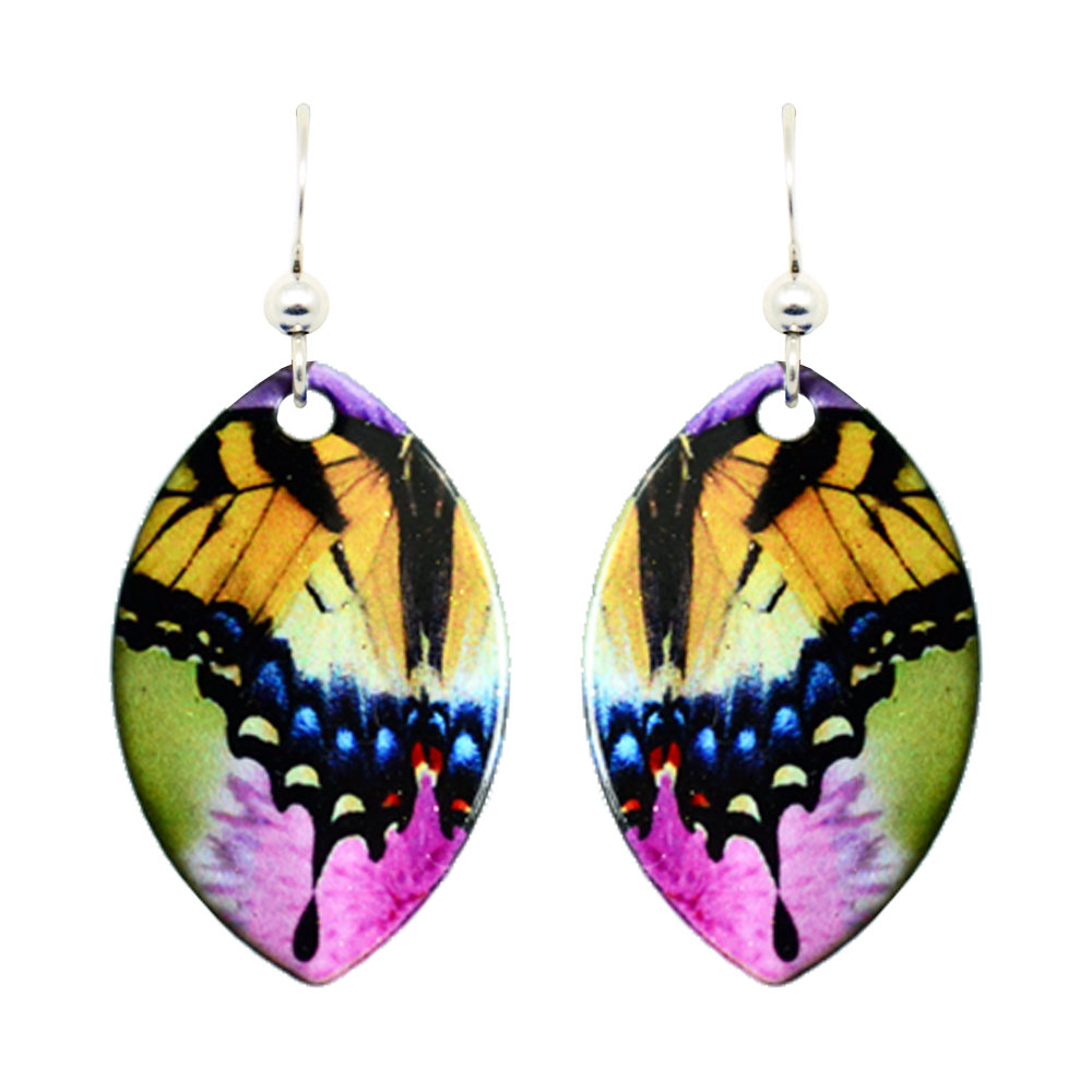 Swallowtail