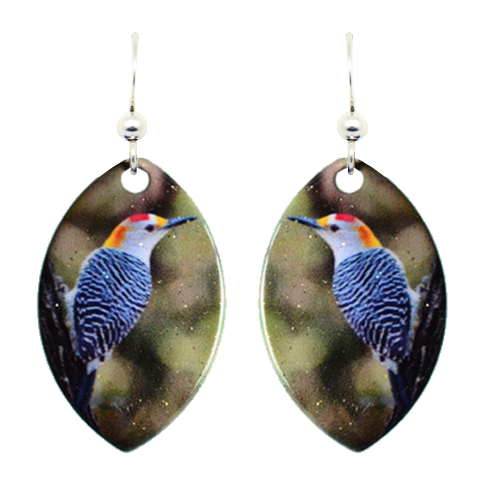 Golden-Fronted Woodpecker
