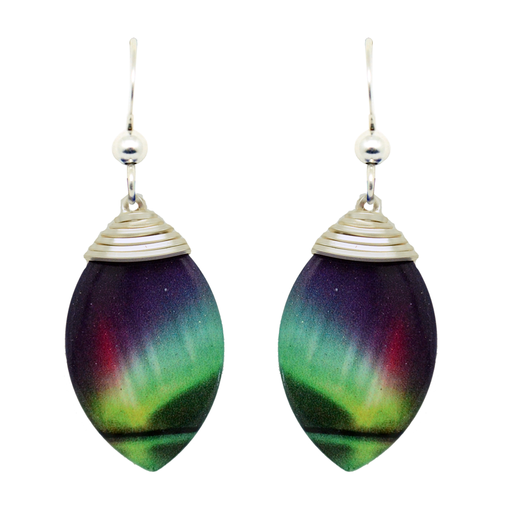 Rainbow Earrings #1837S