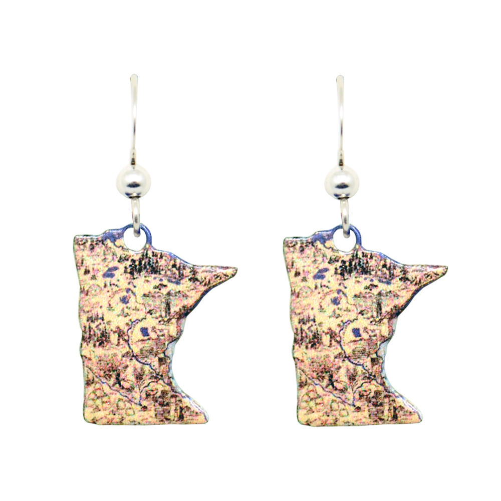 MN, Vintage Map #1905