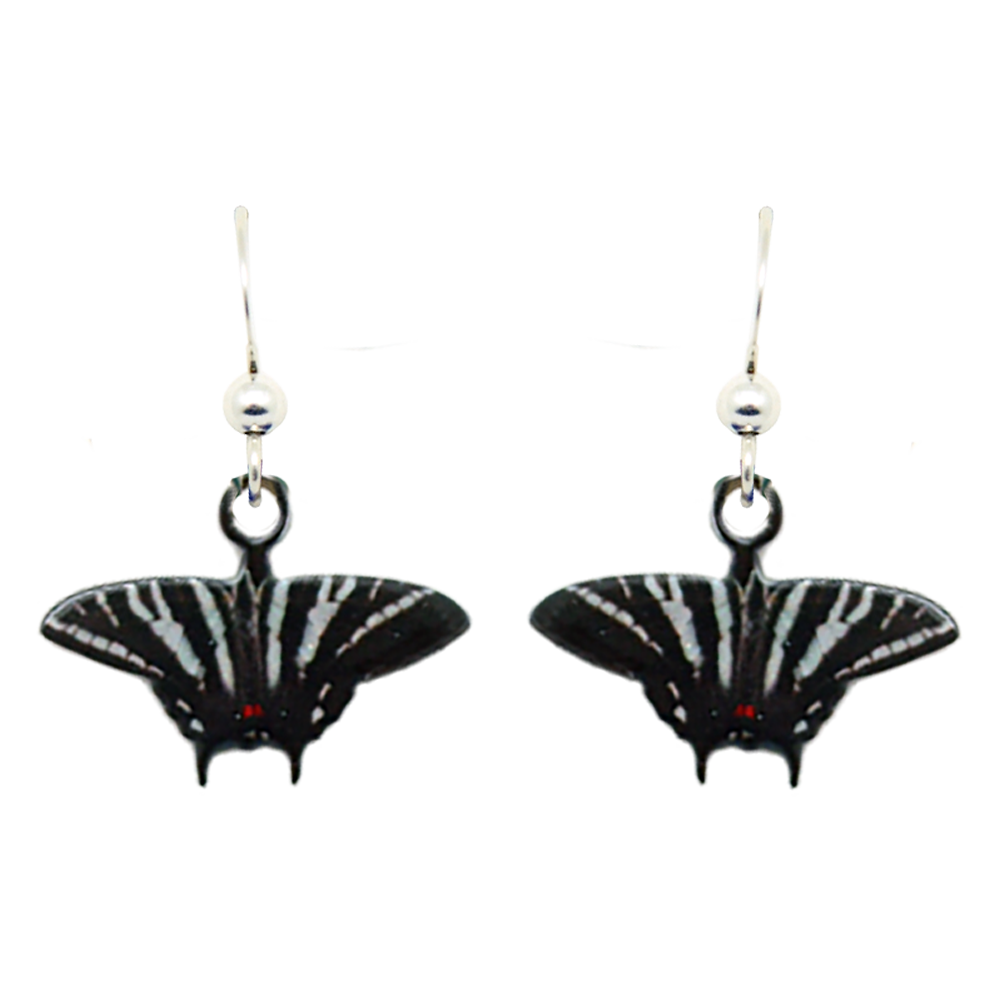 Zebra Swallowtail Butterfly