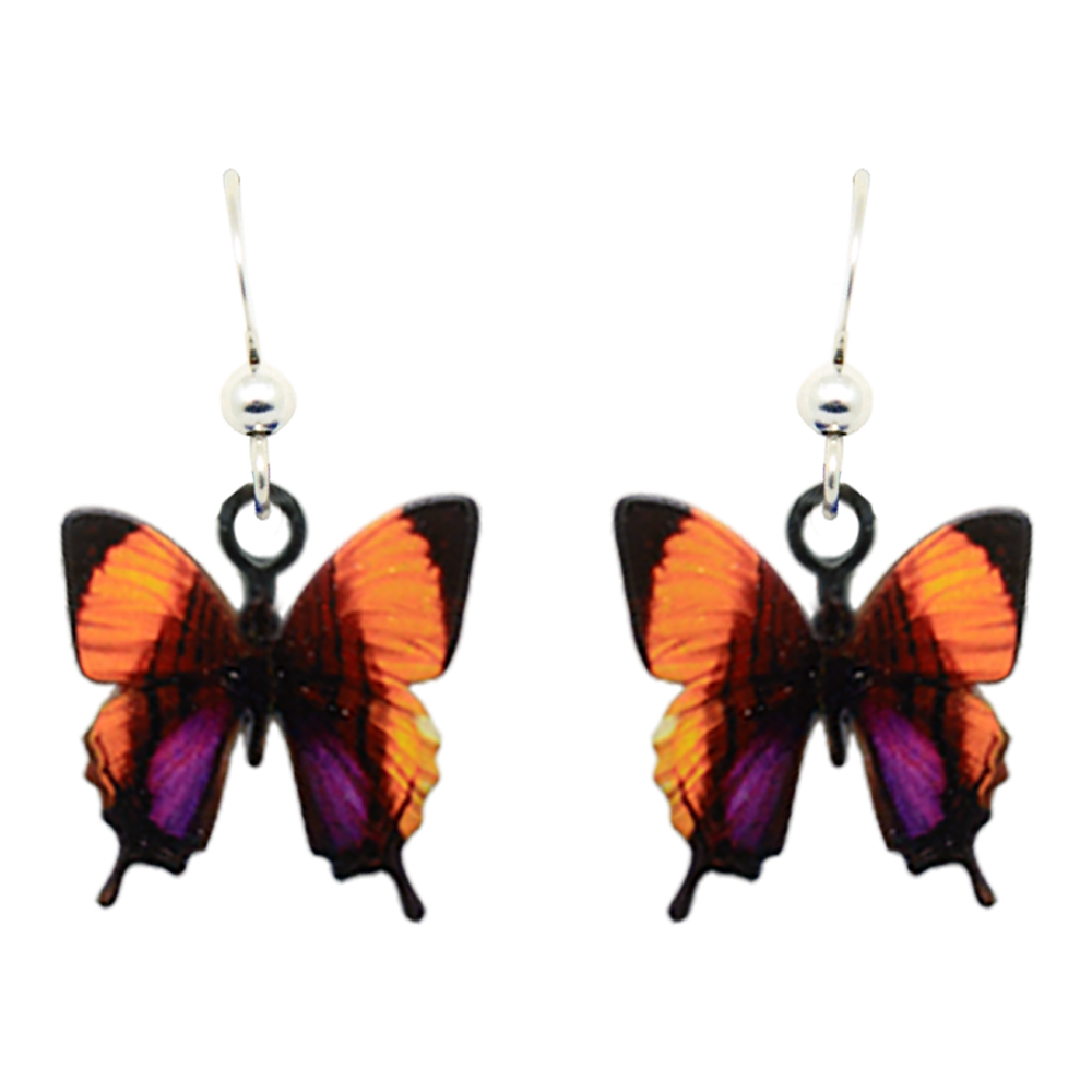 Purple Stained Swallowtail