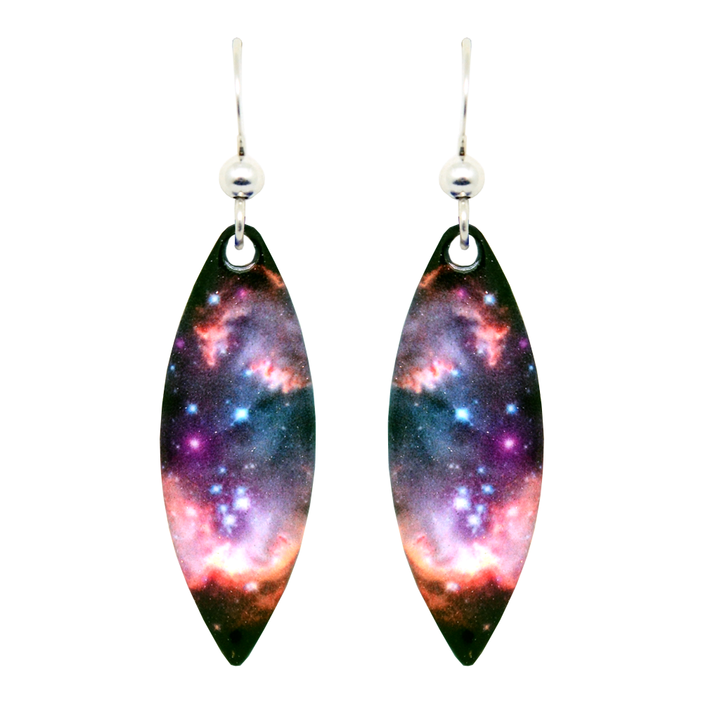 Magellanic Cloud Galaxy