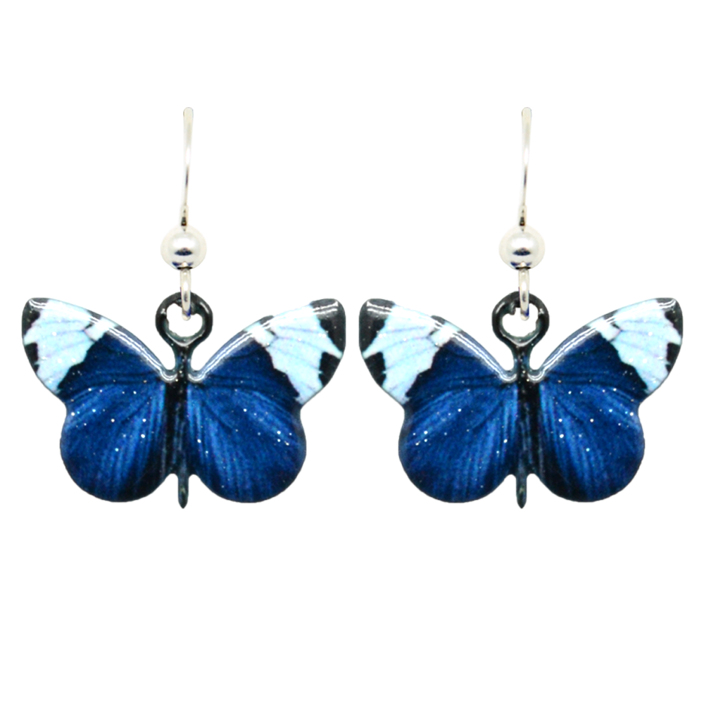 Sapho Longwing Butterfly