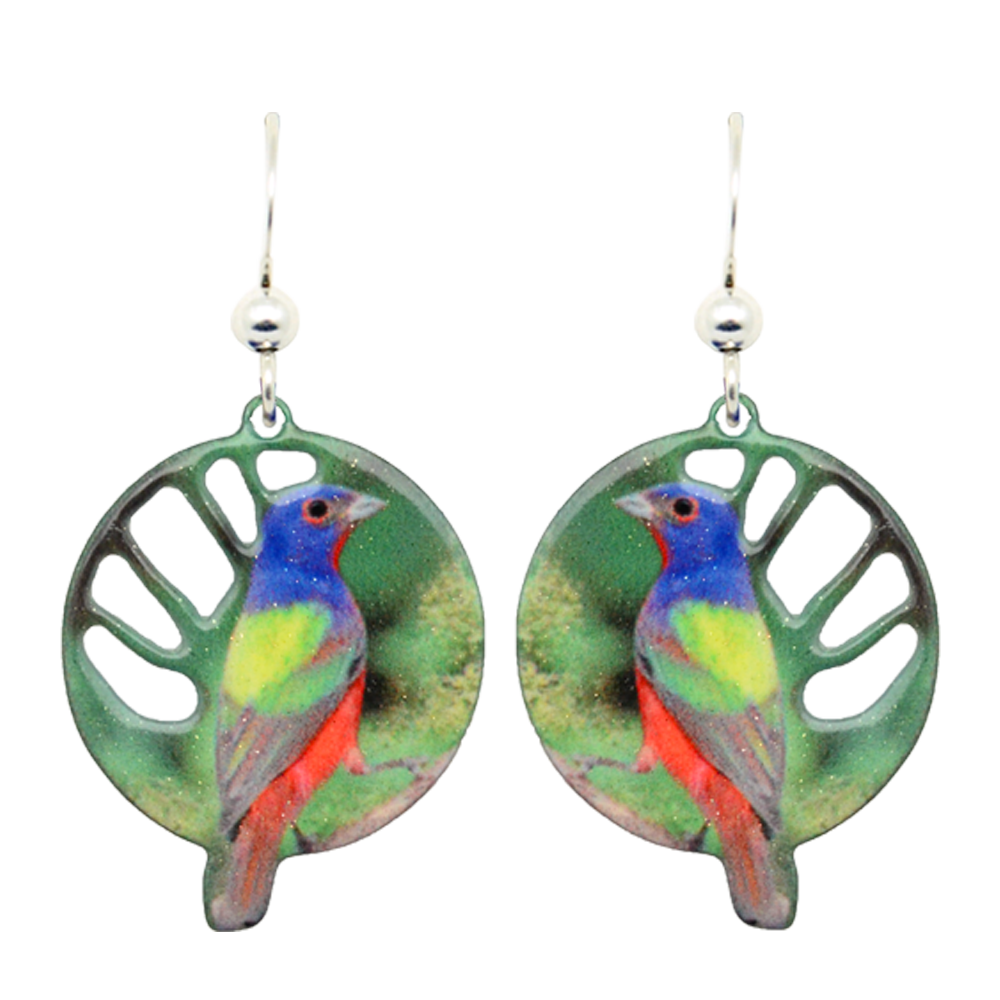 Painted Bunting