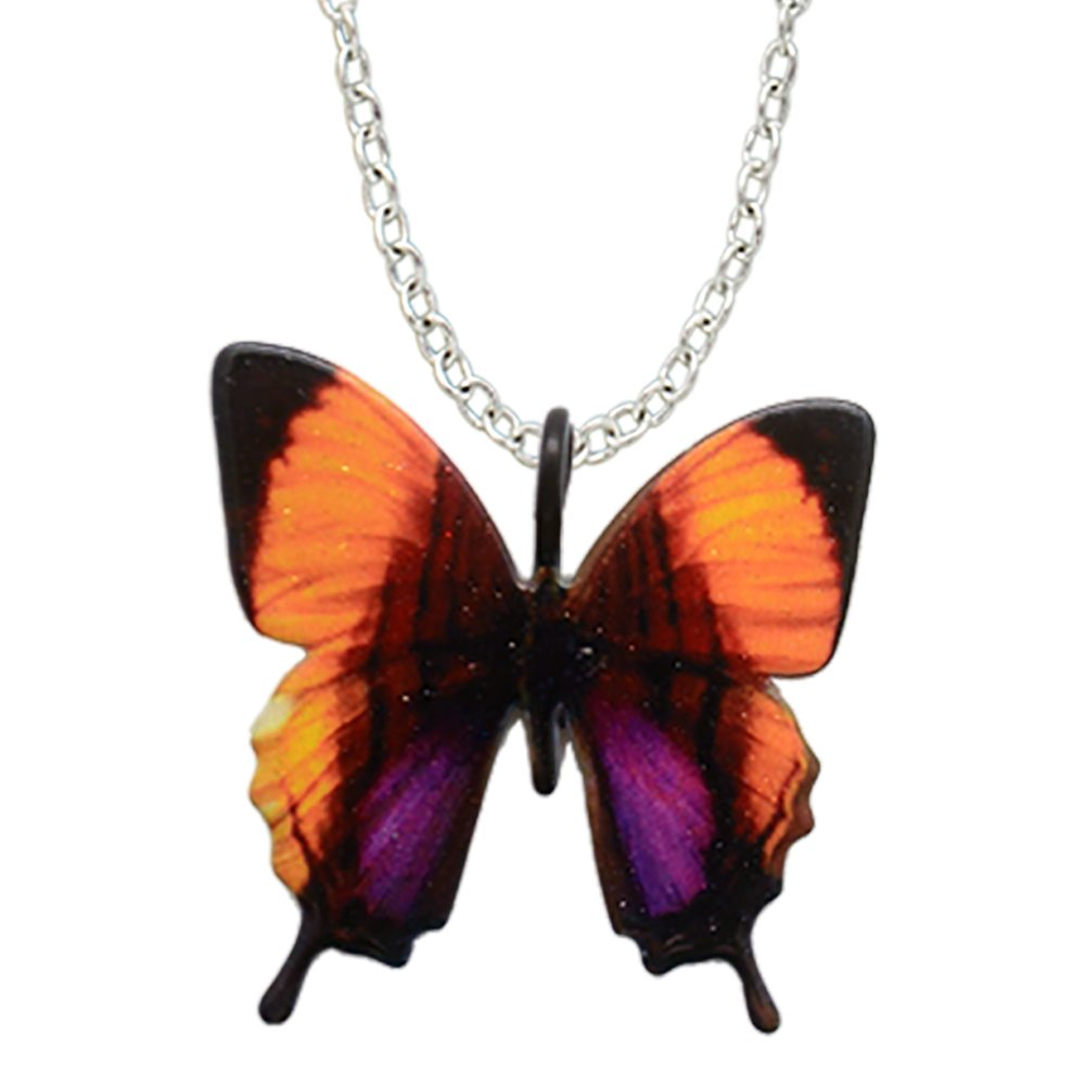 Purple-Stained Daggerwing