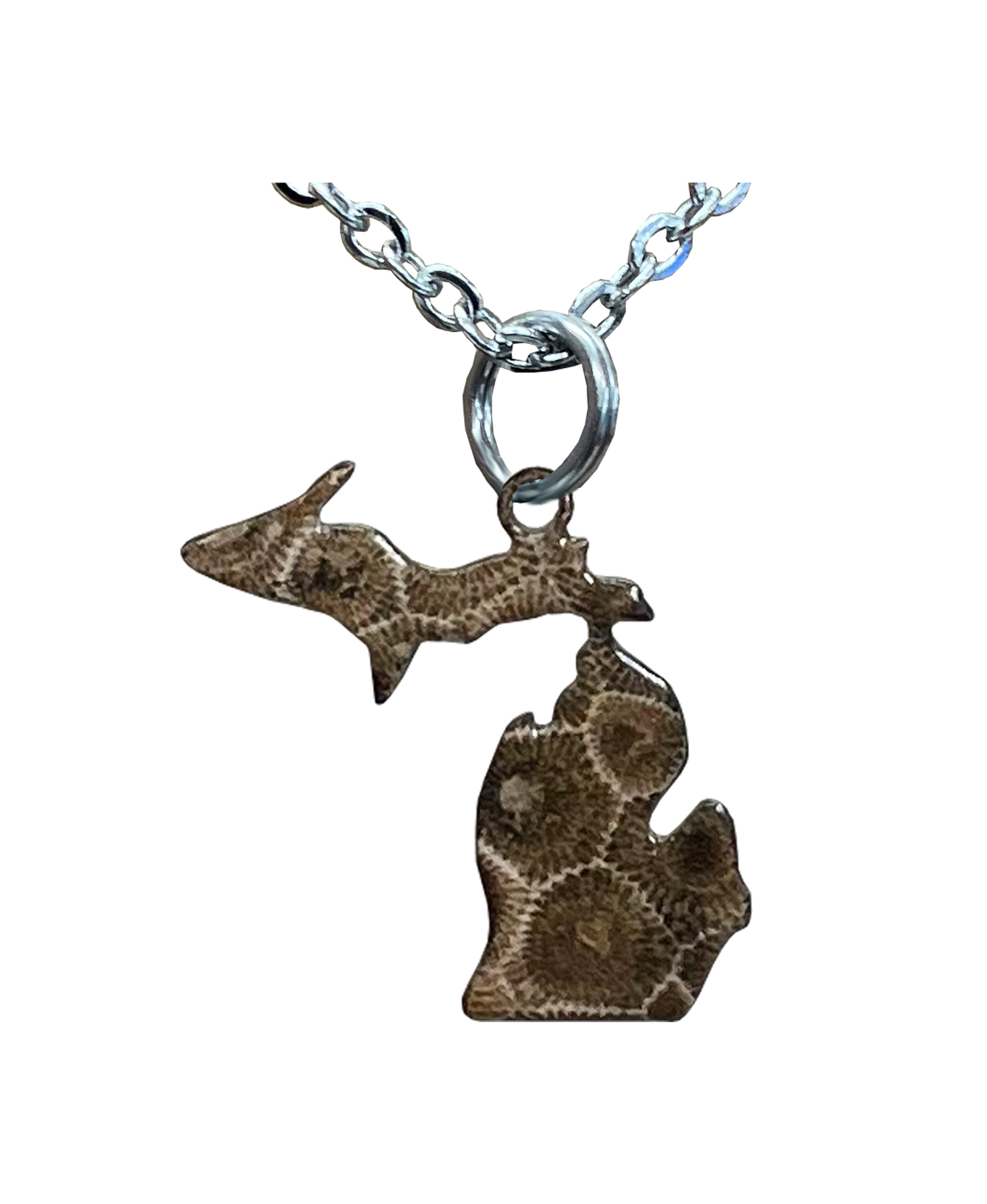 MI State, Petoskey Stone Large Necklace #4592X