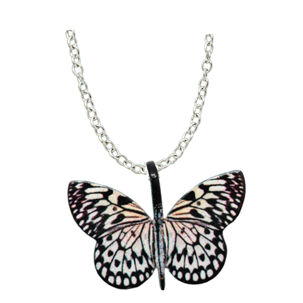 Paper Kite Butterfly