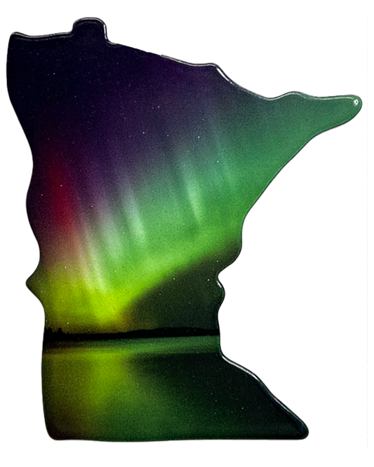 MN, Rainbow, Pin #6008