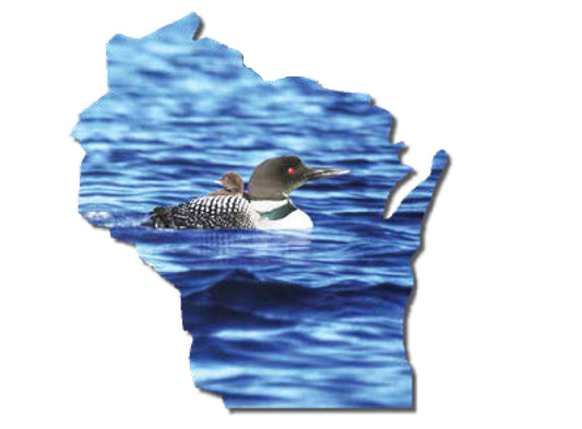 WI, Loon Pin #6042