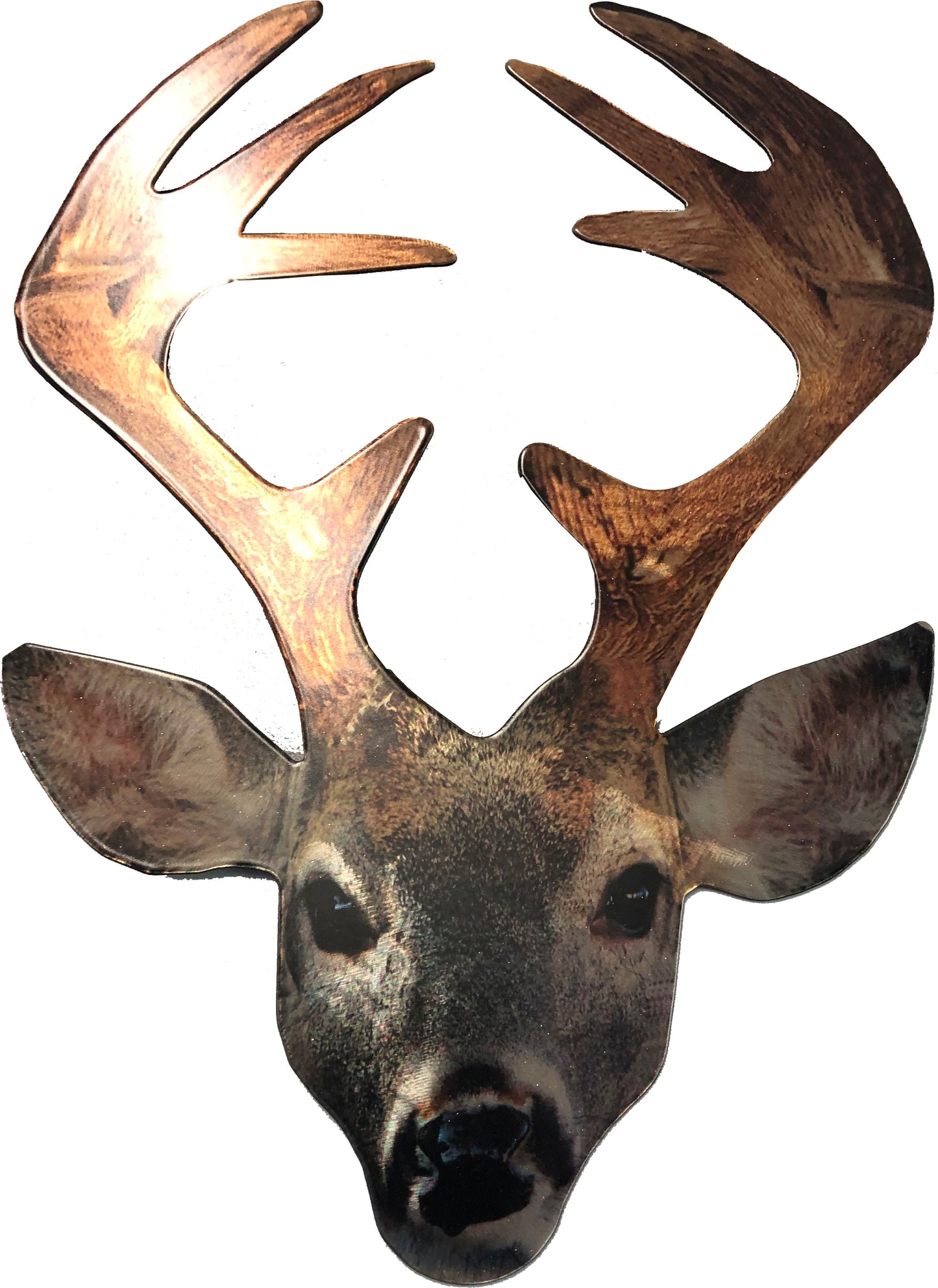 Buck, wall art by d'ears, made in the USA, 18 gauge steel, Item#  Z1021