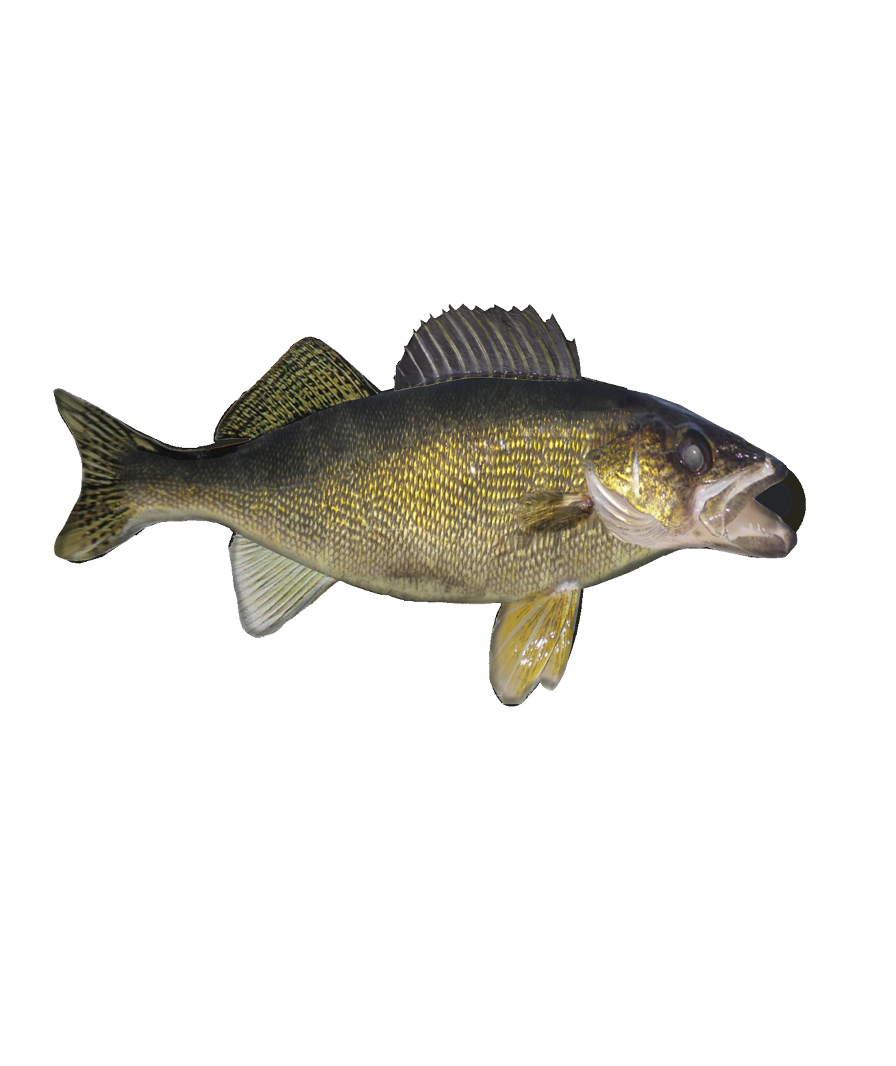 d'ears Walleye Pin