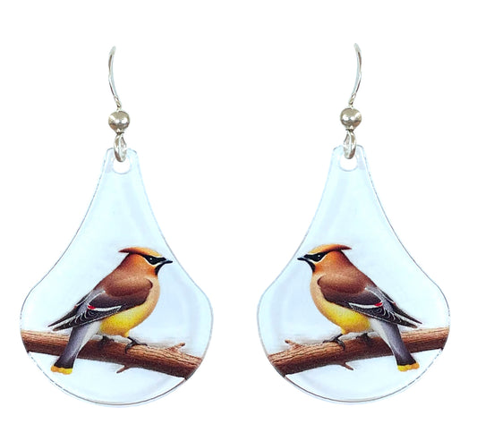 Cedar Waxwing Bird Acrylic Earrings, non-tarnish Sterling Silver ear wires, #A125 by d'ears