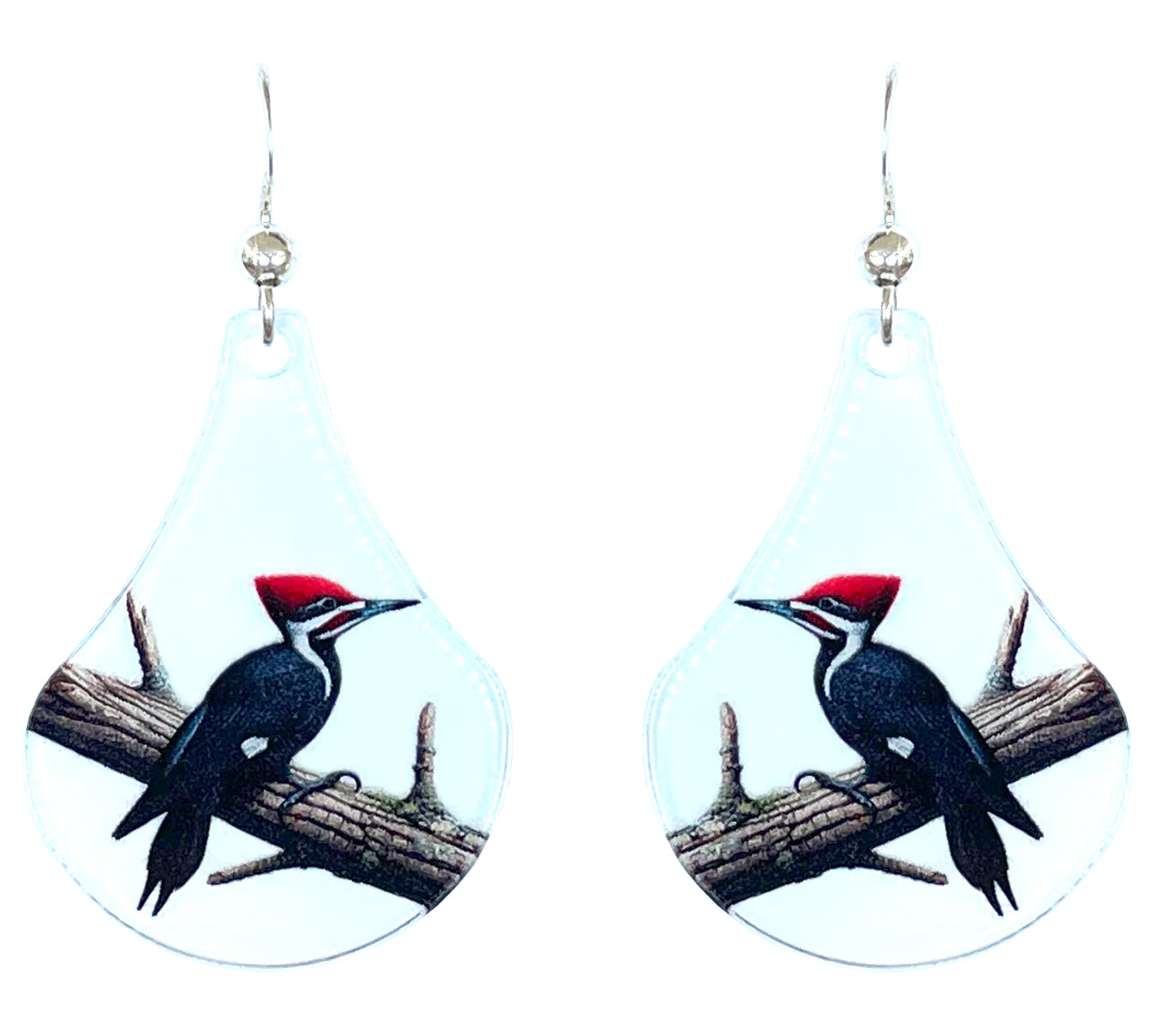 Pileated Woodpecker Bird Acrylic Earrings, non-tarnish Sterling Silver ear wires, #A127 by d'ears