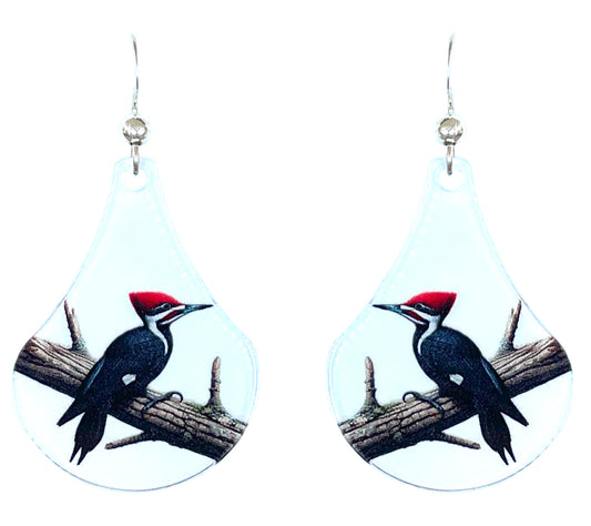 Pileated Woodpecker Bird Acrylic Earrings, non-tarnish Sterling Silver ear wires, #A127 by d'ears