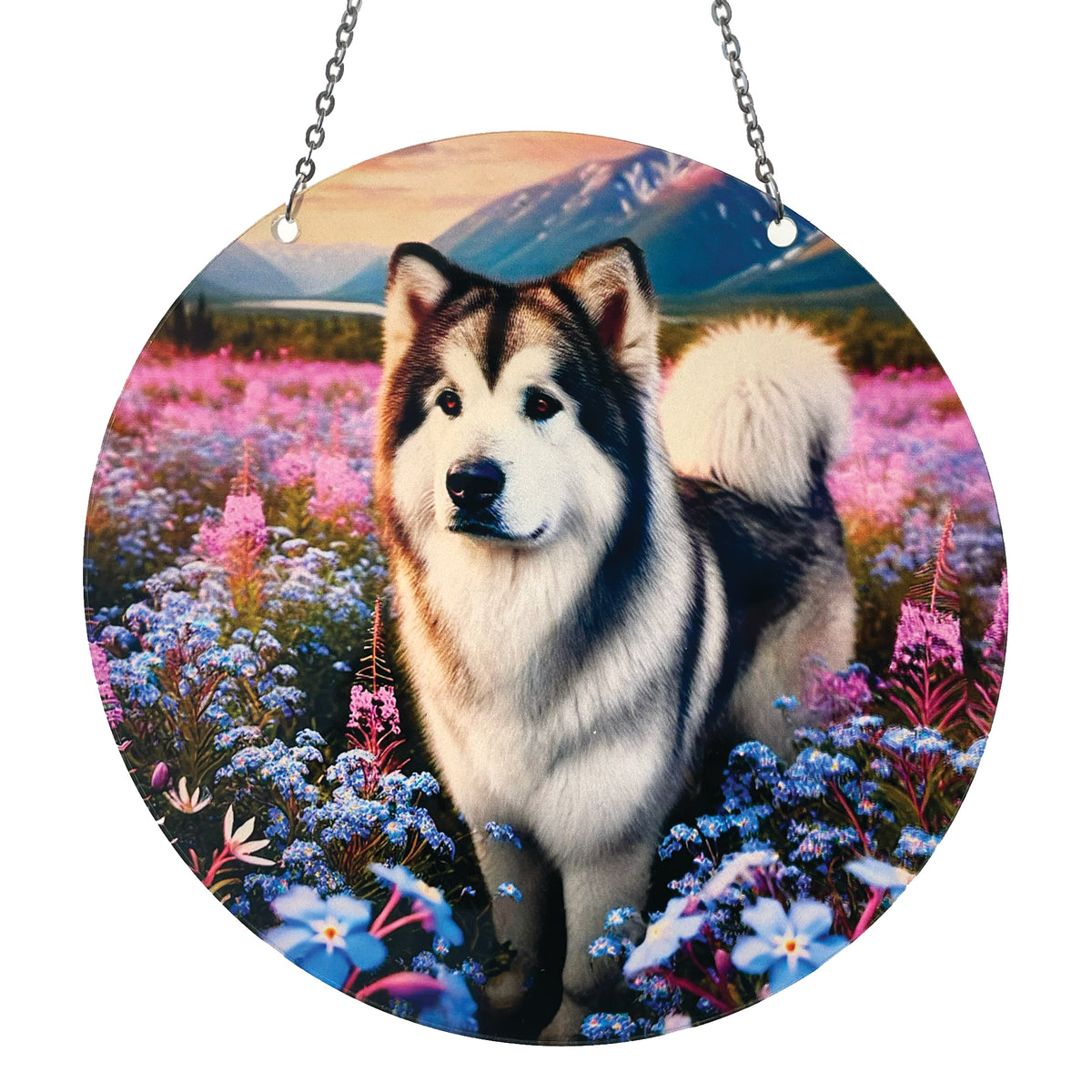 Alaskan Malamute Acrylic Suncatcher with Chain #SC773 Made in the USA