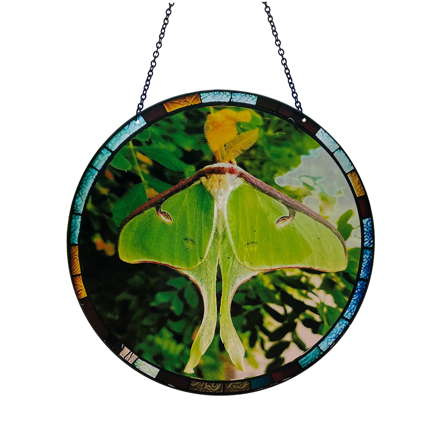 Luna Moth Acrylic Suncatcher with Chain #SC153 by d'ears