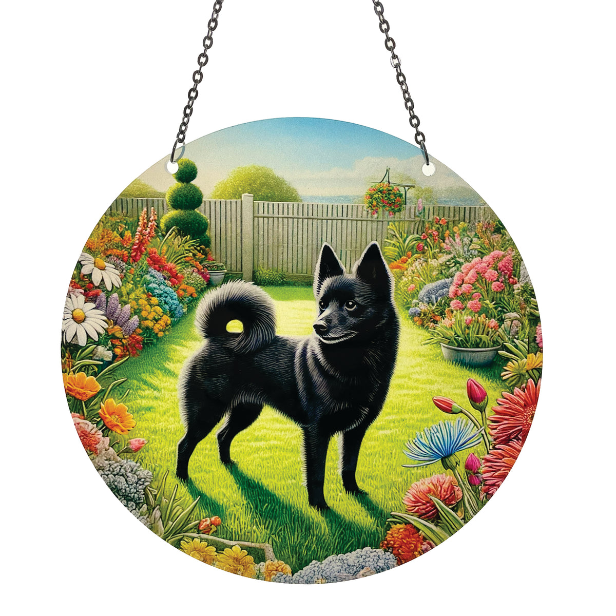 Schipperke Acrylic Suncatcher with Chain #SC756 Made in the USA
