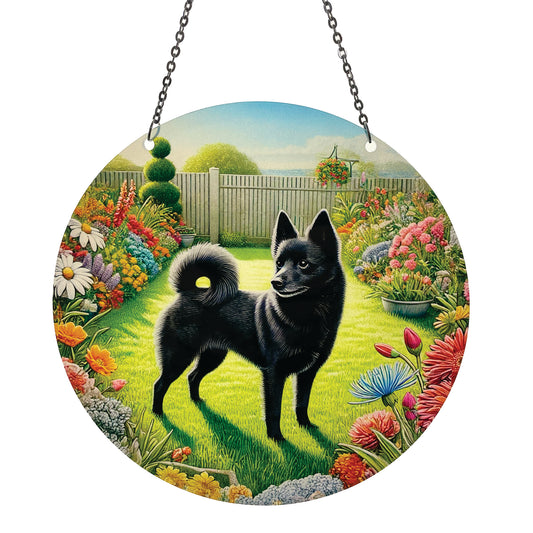 Schipperke Acrylic Suncatcher with Chain #SC756 Made in the USA