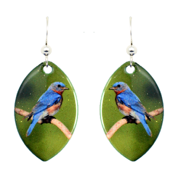 Eastern Bluebird