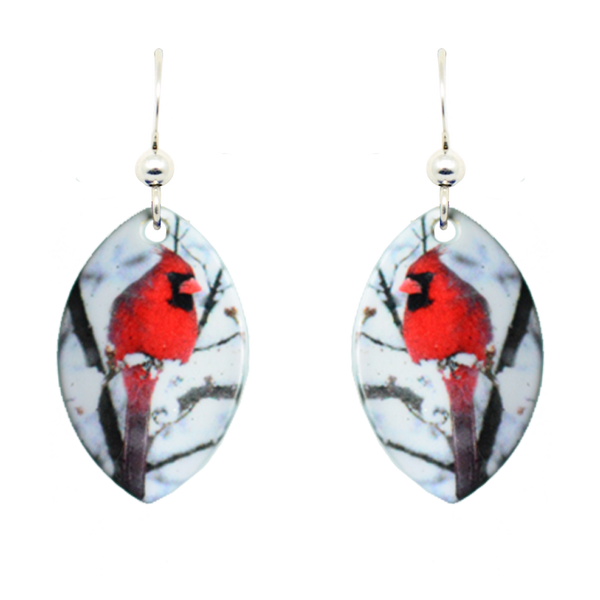 Northern Cardinal