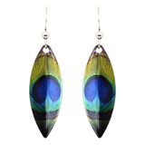 Peacock Eye