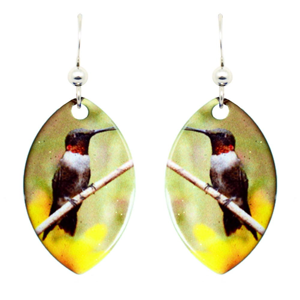 Ruby-Throated Hummingbird