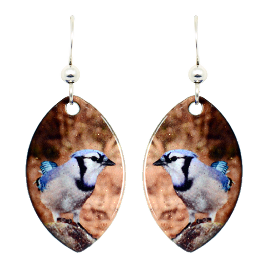 Blue Jay Earrings, Sterling Silver Earwires, Item# 1420