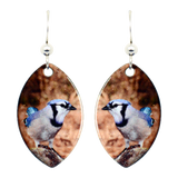 Blue Jay Earrings, Sterling Silver Earwires, Item# 1420