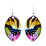 Swallowtail