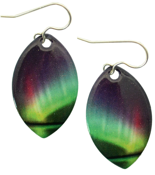 Rainbow earrings #1837