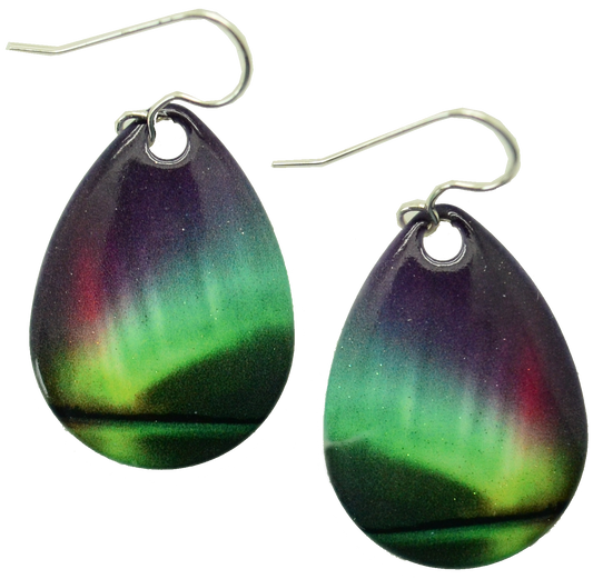 Rainbow Earrings #1838
