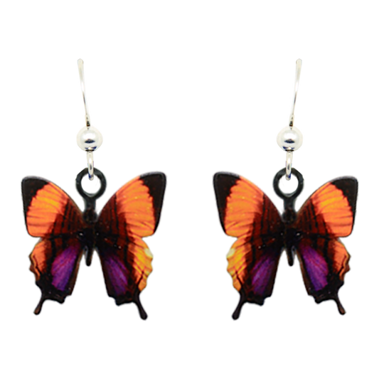 Purple Stained Swallowtail
