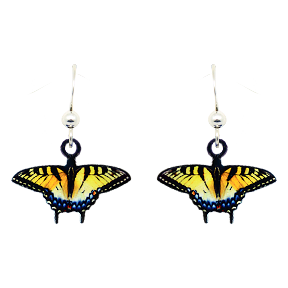 Resting Swallowtail