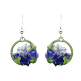 Regal Affair Iris