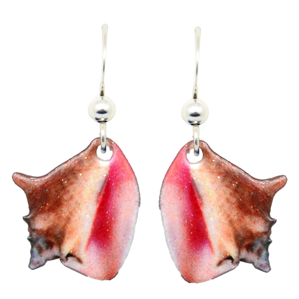 Conch Shell Earrings, sterling silver French hooks, Item# 2176