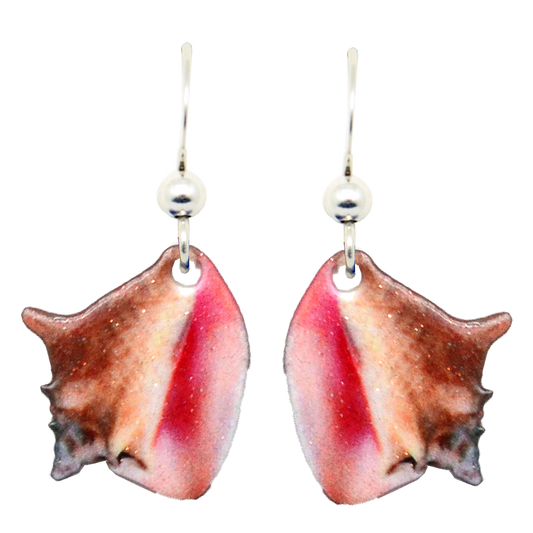 Conch Shell Earrings, sterling silver French hooks, Item# 2176